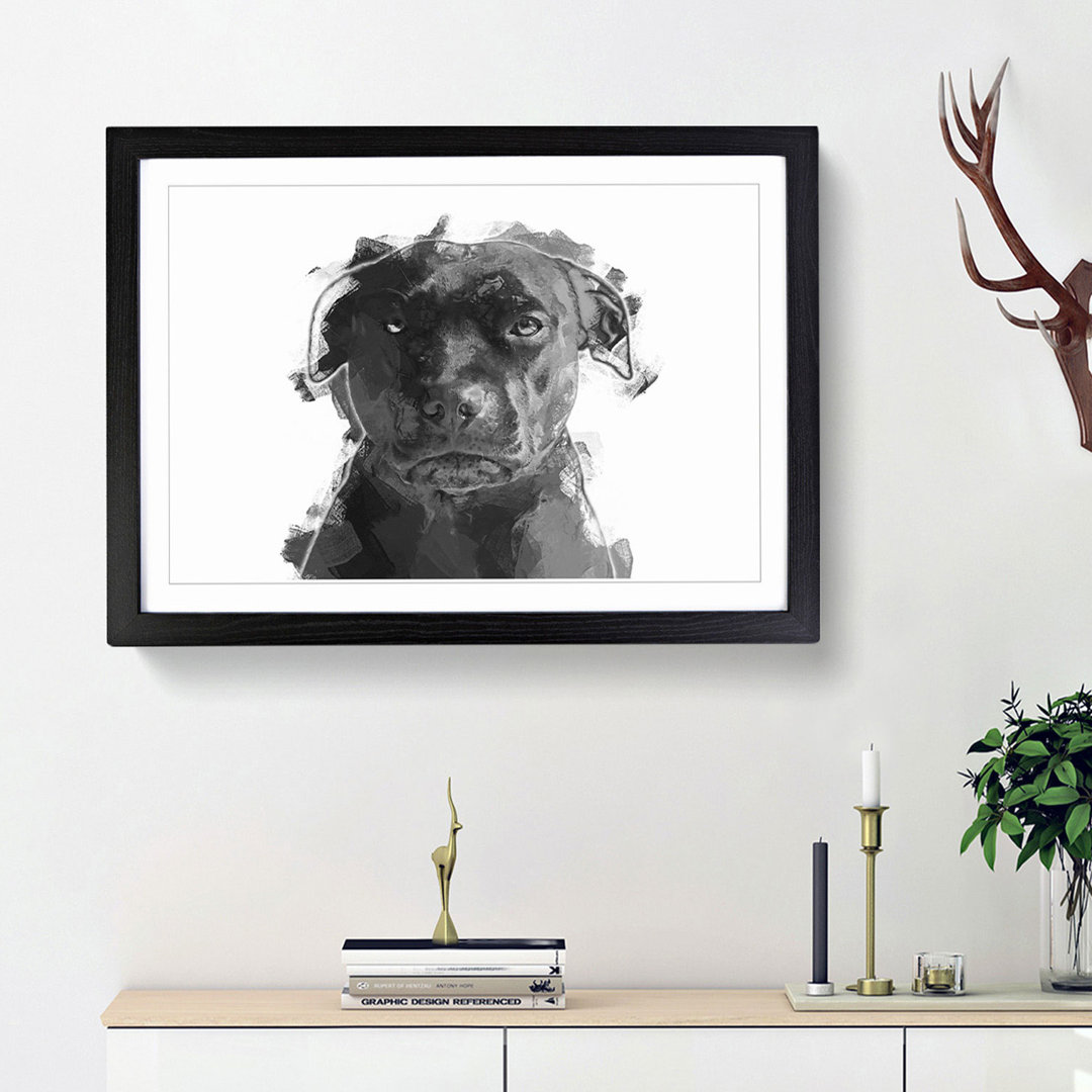 Staffordshire Bull Terrier Dog in Abstract - Framed Print