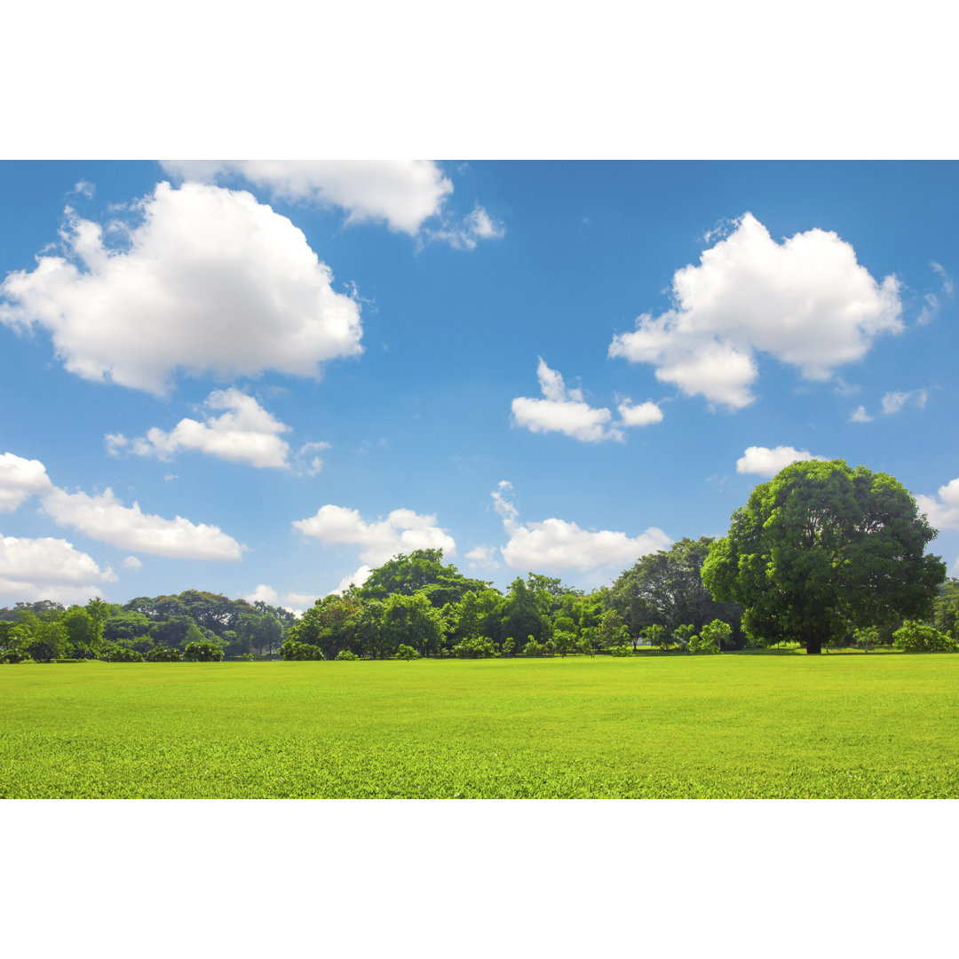 Leinwandbild Green Park Outdoor mit blauem Himmel Wolke