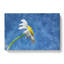 White Daisy Flower - Wrapped Canvas-64082321