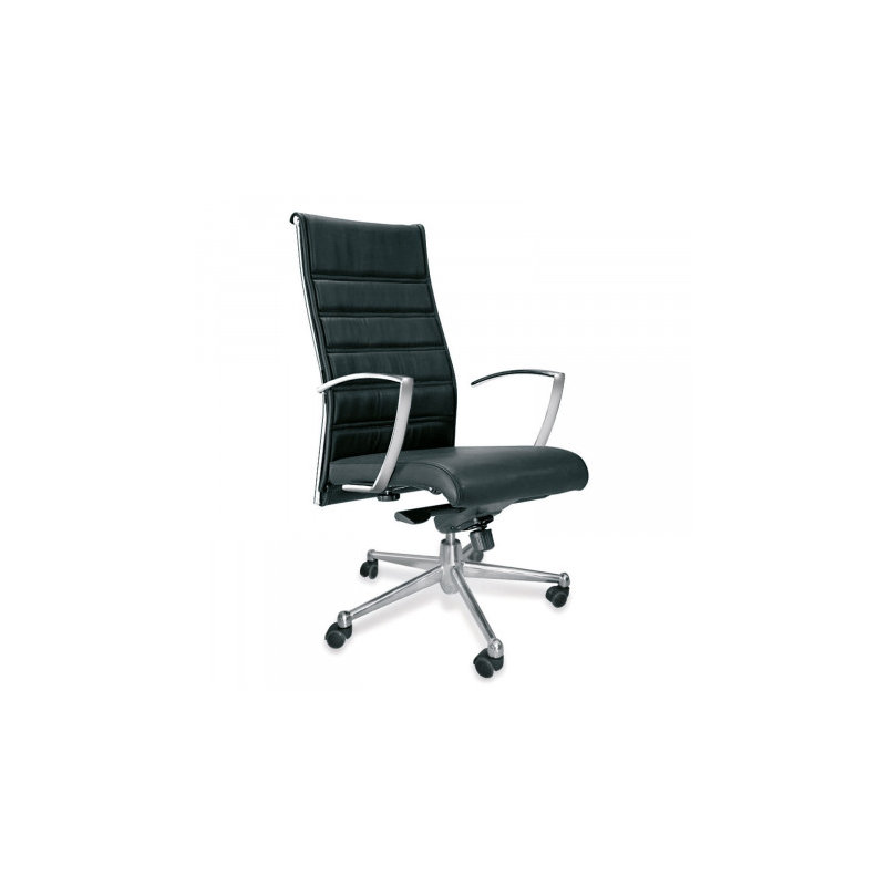 Baglieri Peltex Executive Chair, 119" H