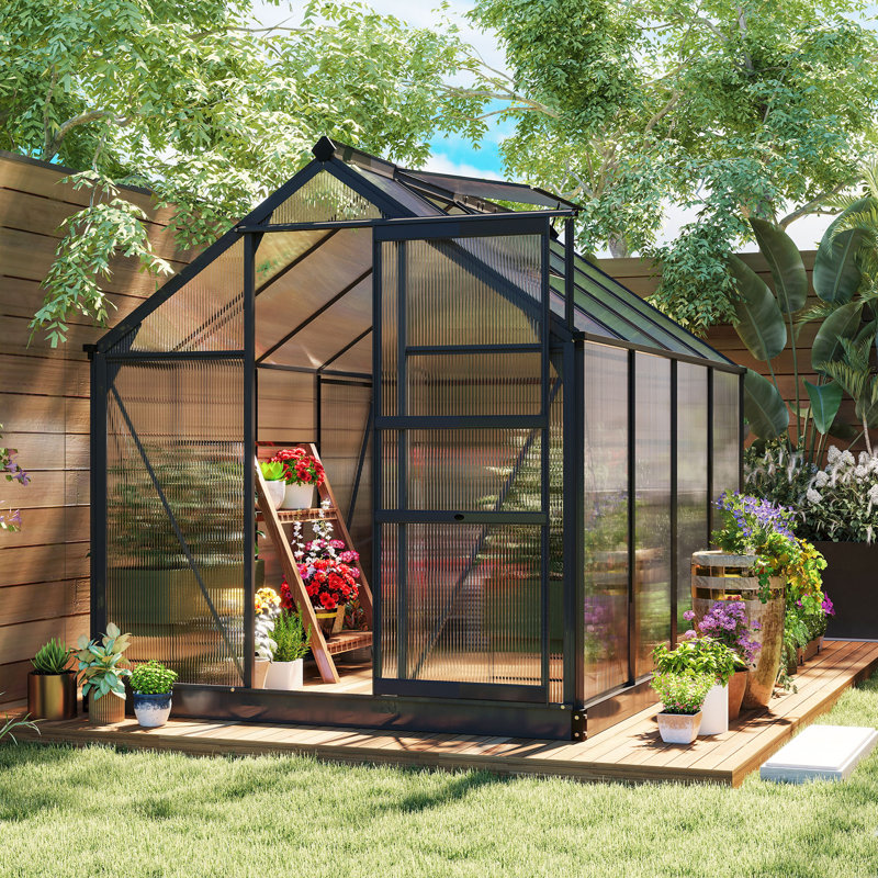 Serre de jardin en polycarbonate en aluminium 6 pi x 8 pi x 6,6 pi