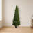 Cypress Topiary Artificial Tree