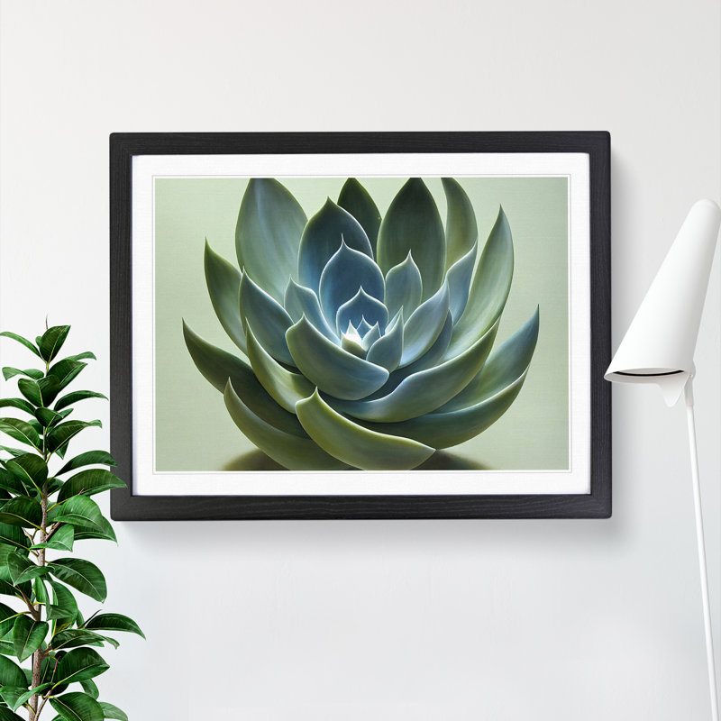 Graceful Succulent Plant - Single Picture Frame Print, Black Framed, 46cm H x 64cm W x 2cm D