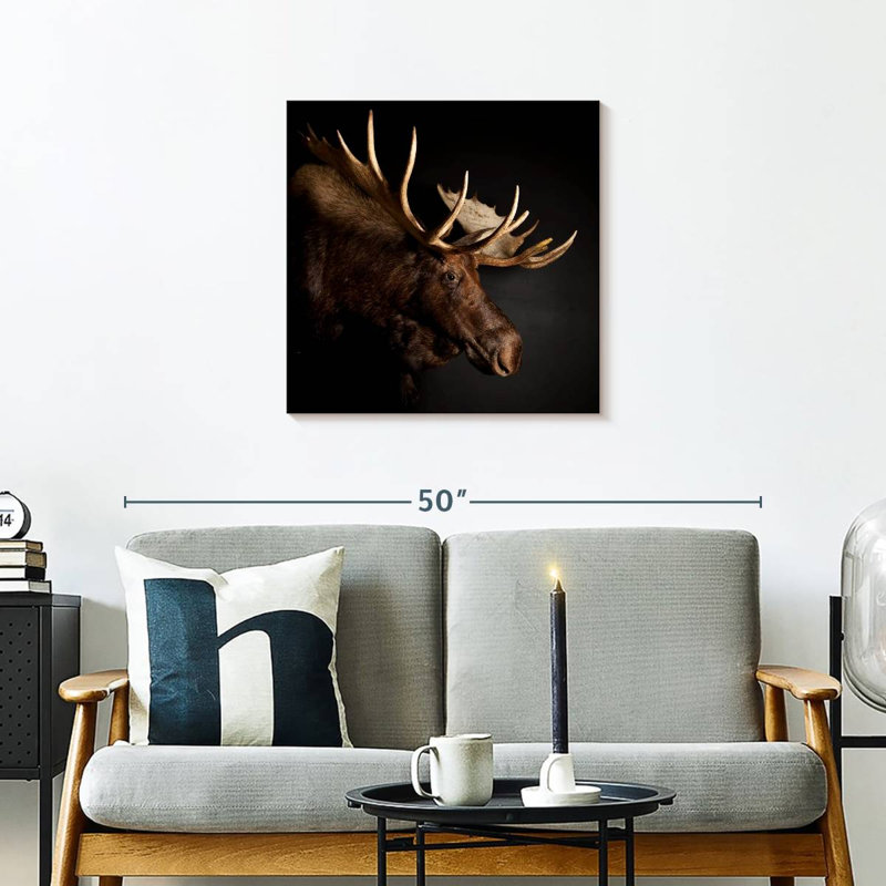 Brampt Antlered Moose, 24" H x 24" W