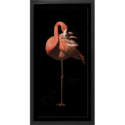 Flamingo 12 - Single Picture Frame Print