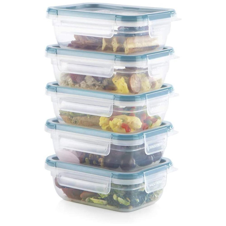 American Raven 10 Piece [BPA Free] Food Storage Containers with