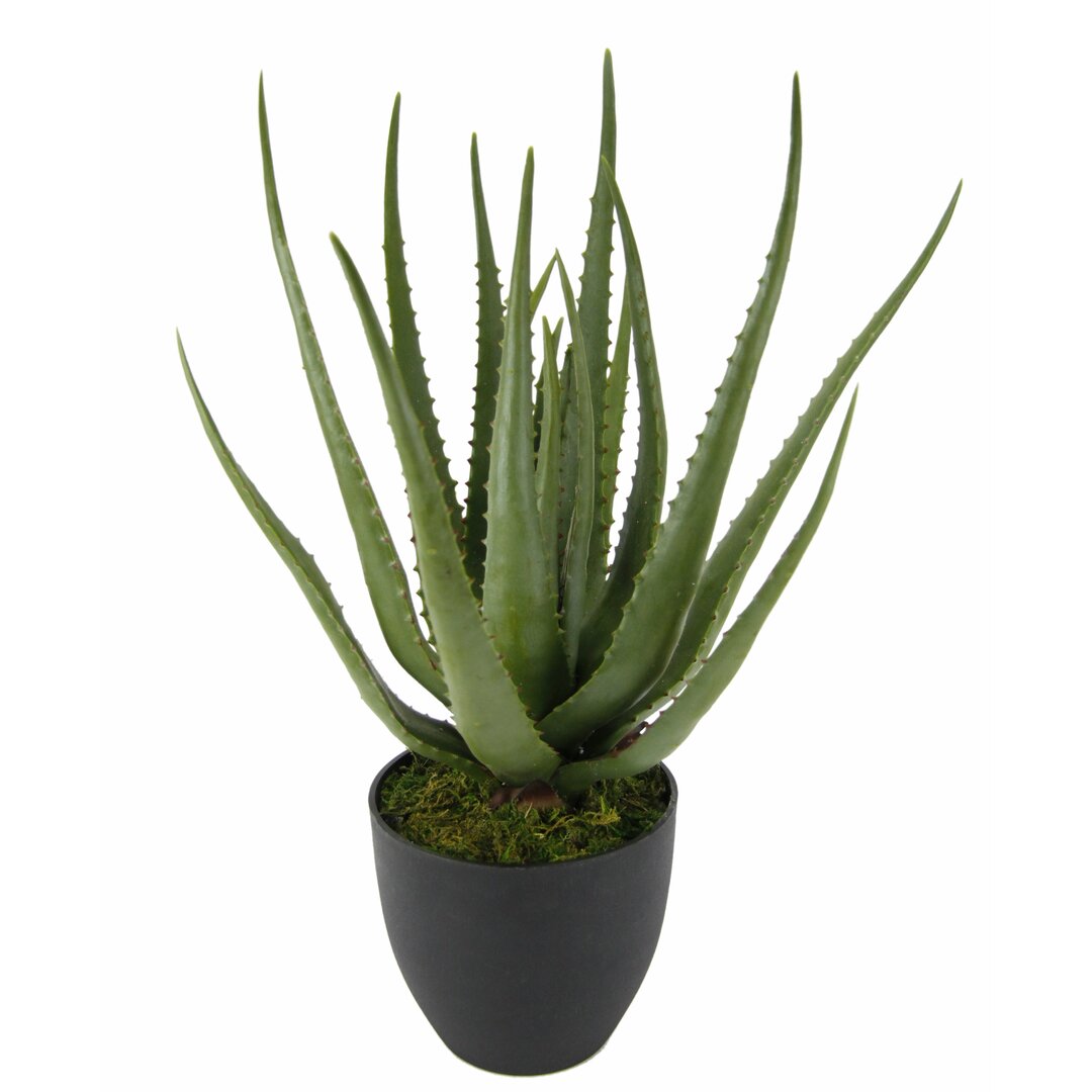 Künstliche Aloe Vera Topf Kunstpflanze Agave Sansevieria Grünpflanze Topfpflanze Zimmerpflanze