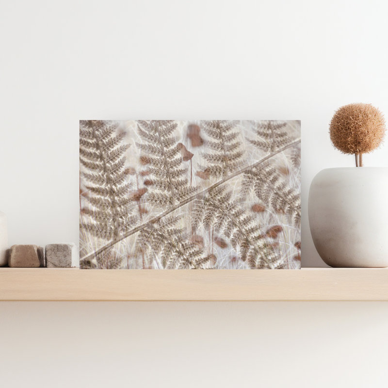 Art contemporain contemporain abstrait forêt biologique, H 12 po x l 18 po, Brun