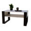 Kureja Sled Coffee Table with Storage