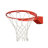 Lifetime Height Adjustable Bolt Down Basketball Hoop (54" Tempered Glass Backboard)-102097872