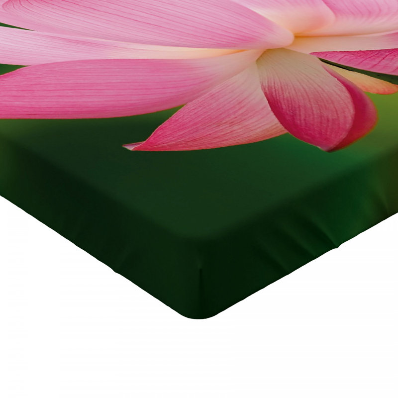 Microfiber Fitted Sheet, Twin Fitted Sheet