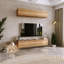RTV cabinet Nicole 80 cm-1484770616