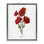 «Red Poppy Study Floater», art mural par Danielle Murray