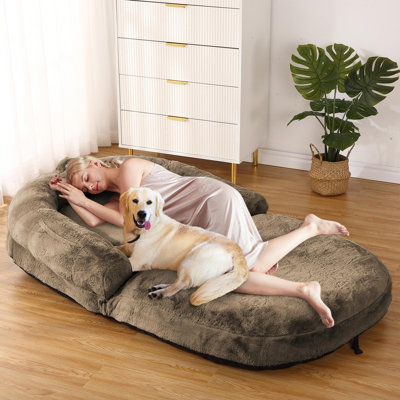 Ephrim Polyester Pet Bed