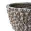 Vase décoratif en polyrésine et corail beige Cole-121496569
