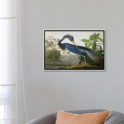 Wick " Louisiana Heron " Graphic Art Print