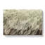 Feathers In Abstract - Wrapped Canvas-55312307