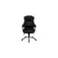Fauteuil de direction Contemporary