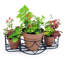 Support à plantes Noles
