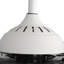 Ceiling Fan with LED Lights-589760726