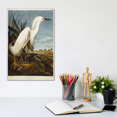 Snowy Heron or White Egret/Snowy Egret by John Audubon - 1 Piece Wrapped Canvas Wall Art