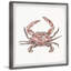 «Red Crab», reproduction encadrée-1562583077