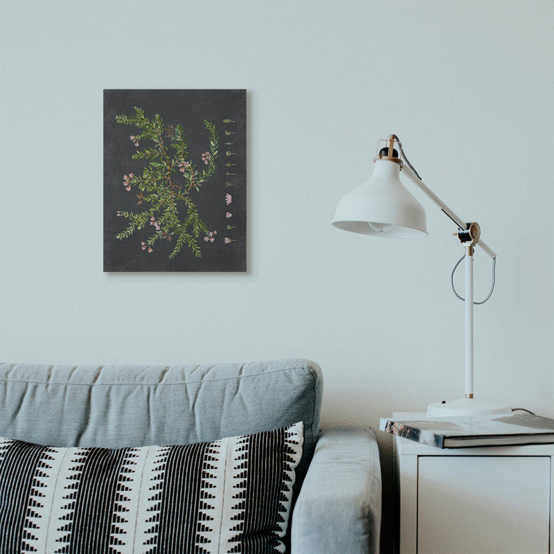 «Botanical Dessin Flower Pink On Black Design», impression, Toile tendue, H 20 po x l 16 po