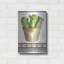 «Happy Cactus» par Cindy Jacobs-1707677440