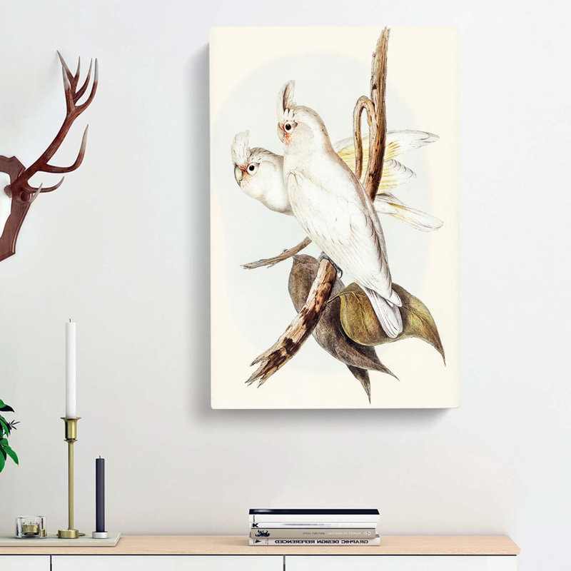 Blood-Stained Cockatoos by Elizabeth Gould - Wrapped Canvas, 50cm H x 35cm W x 3cm D