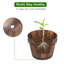 Wood Barrel Planter
