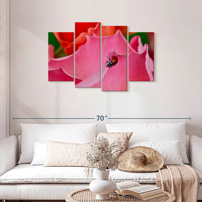 Coccinelle Brampt sur une rose I