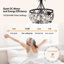 19.99 cm Ceiling Fan with Light Kit
