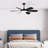 Novah 52'' Ceiling Fan with LED Lights-458382514