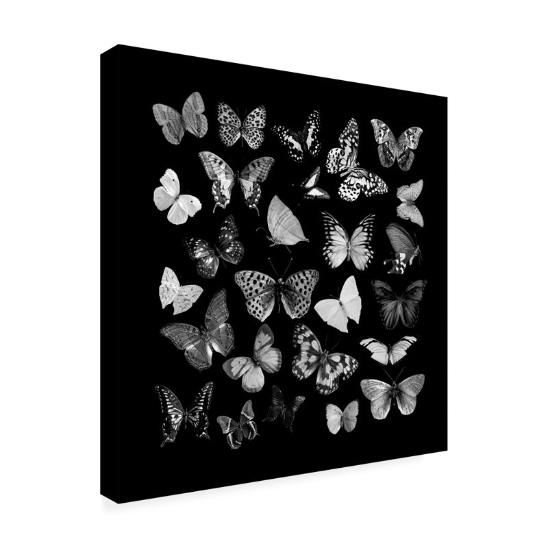 Animaux, papillons noirs et blancs sur toile, H 14 po x l 14 po x P 2 po