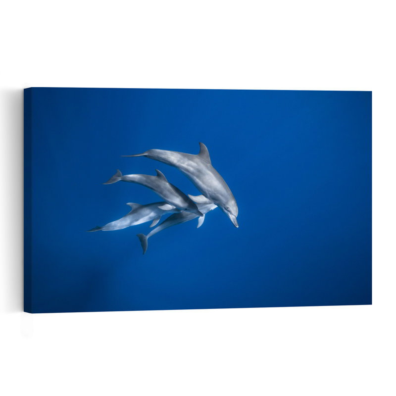 Graceful Ocean Dolphins Contemporary Dolphin Wall Art Print 1 Piece Wrapped Canvas Wall Art, 40.64cm H x 60.96cm W
