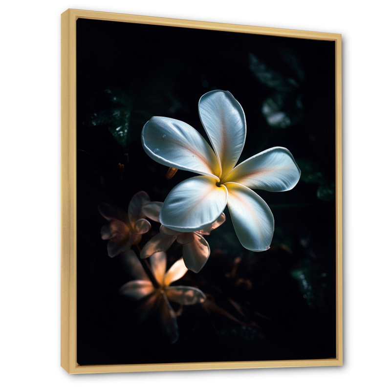 Blanc et noir exotique Plumeria Bloom III, H 44 po x l 34 po, Cadre naturel flottant