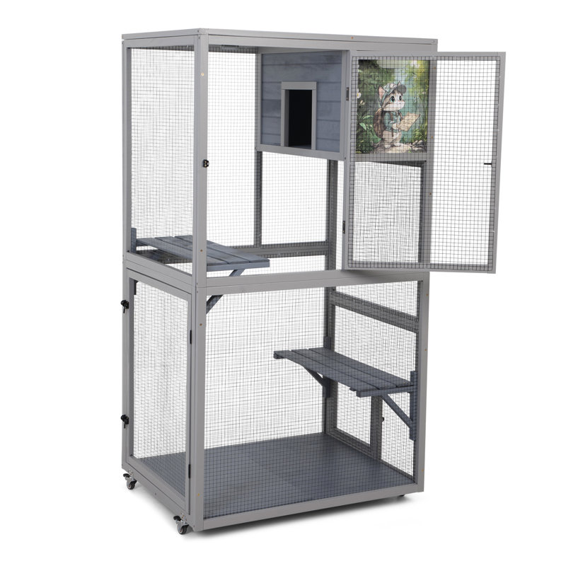 Enceinte d'extérieur pour chat Catio