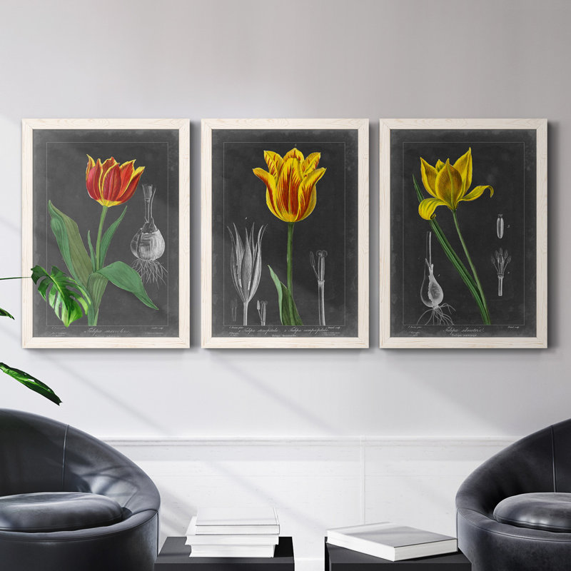 «Midnight Tulip IV», ensemble de 3 peintures sur toile encadrées, H 43,5 po x l 31,5 po x P 1 po, Blanc