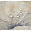 Rideau de douche gris Poppy Garden-440066931