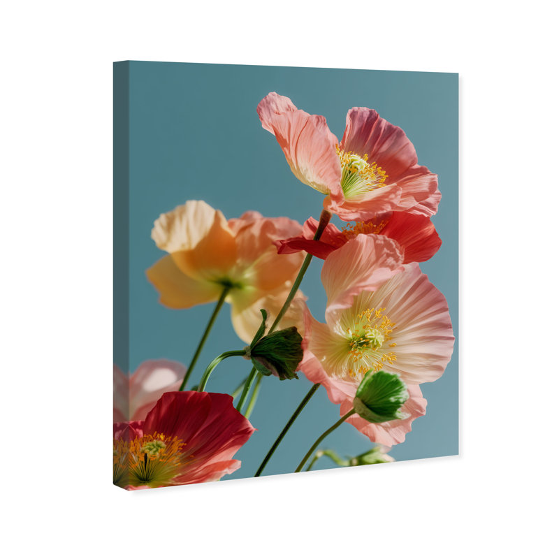 Poppy Bloom III Print by Oliver Gal, Gallery Wrapped, 20"H x 24"W