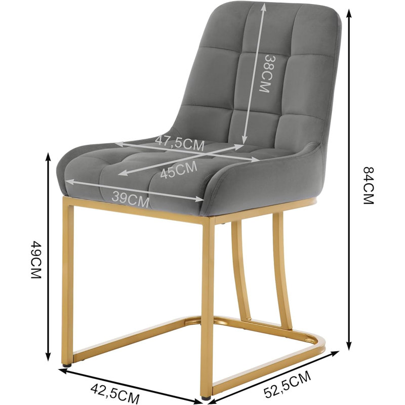 Aunna 49 cm H Velvet Cantilever Chair, Grey, 2