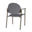 Chaise d'invité Chat Chat-98881972-98671418