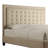 Kaster Upholstered Standard Bed-1752693792-1752693791
