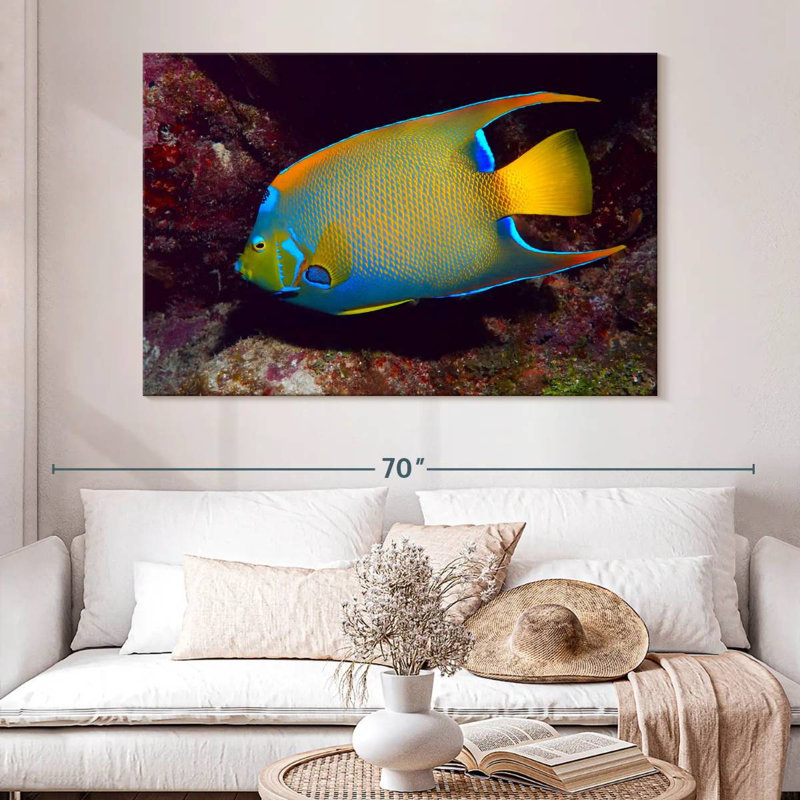 Brampt Glowing Queen Angelfish, 34" H x 51" W
