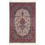 Oriental Area Rug in Ivory