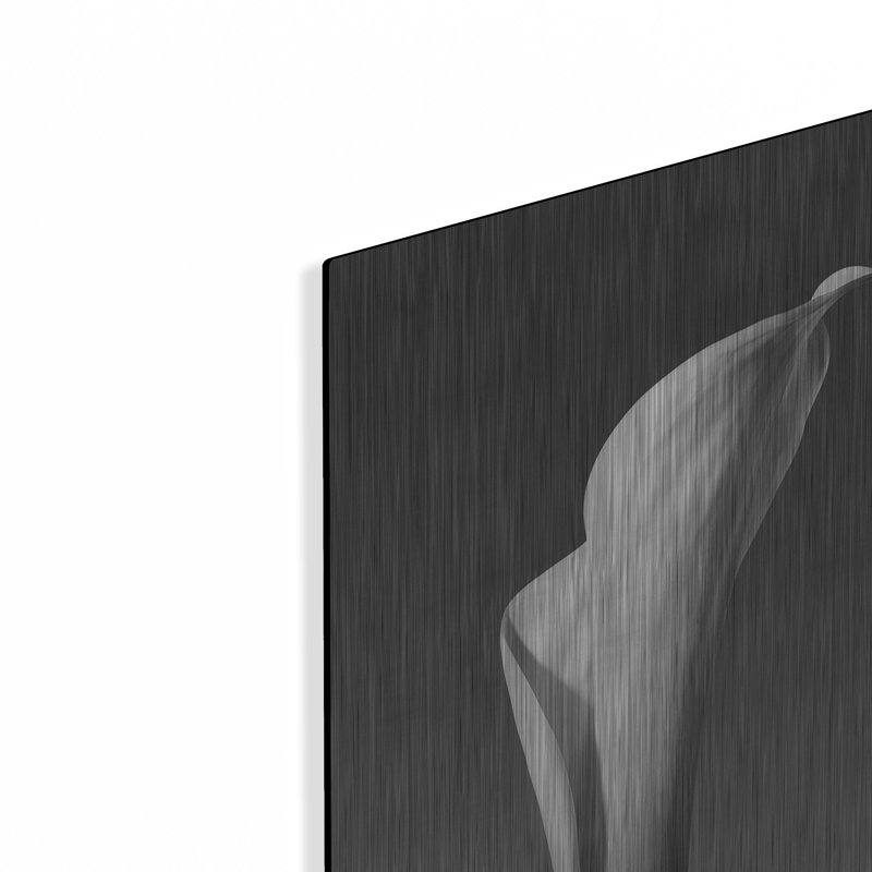 «Calla No. 4» par PhotoINC Studio, H 24 po x l 16 po
