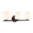 Ezra 22-in Black dimmable Bathroom Vanity Light