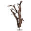 Kazu Dragon Tree Sculpture