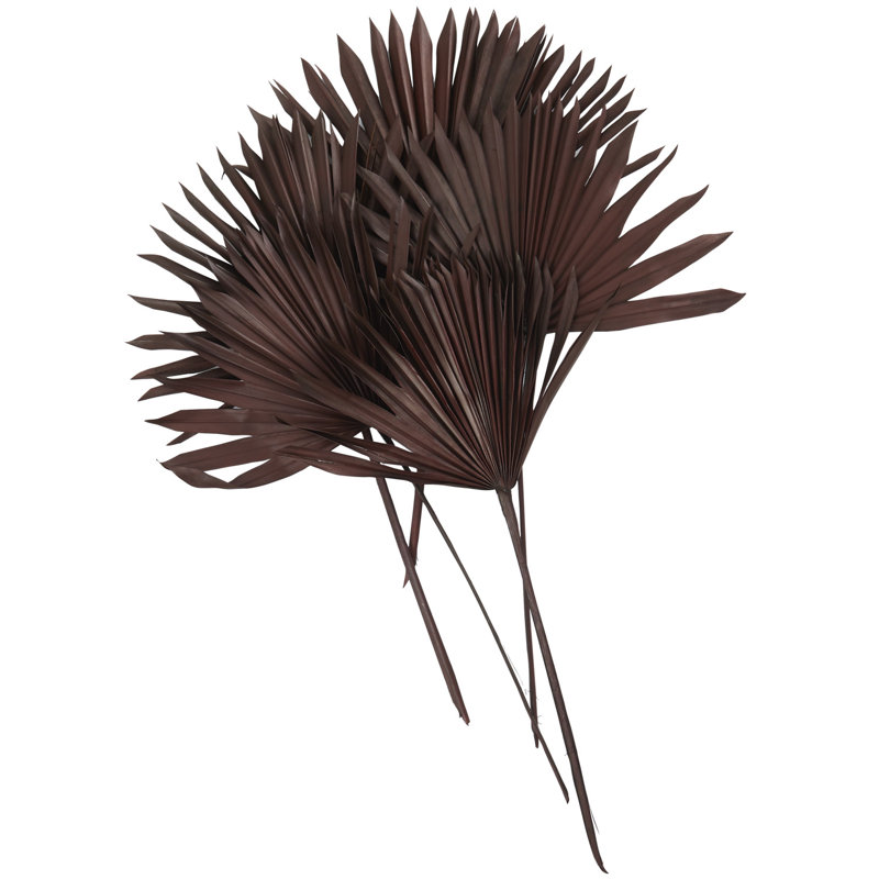 Landscape & Nature Vase Filler, 25.75" H X 17.3" W X 5.85" D, Dark Brown