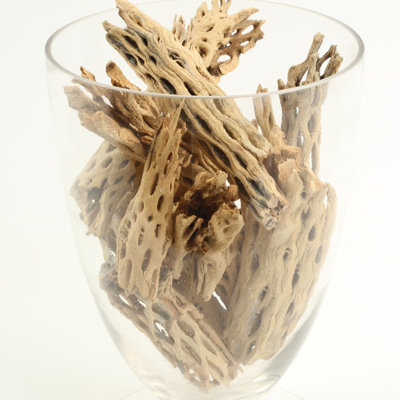 Handley Landscape & Nature Vase Filler